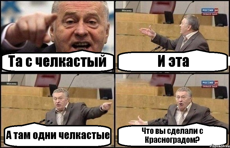 Та с челкастый И эта А там одни челкастые Что вы сделали с Красноградом?, Комикс Жириновский