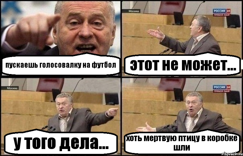 пускаешь голосовалку на футбол этот не может... у того дела... хоть мертвую птицу в коробке шли, Комикс Жириновский