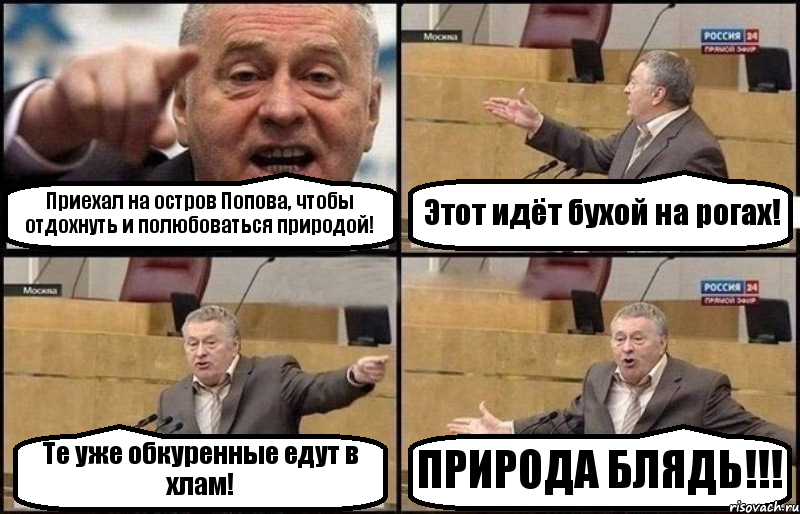 Приехал на остров Попова, чтобы отдохнуть и полюбоваться природой! Этот идёт бухой на рогах! Те уже обкуренные едут в хлам! ПРИРОДА БЛЯДЬ!!!, Комикс Жириновский