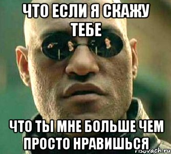 что если я скажу тебе что ты мне больше чем просто нравишься, Мем  а что если я скажу тебе