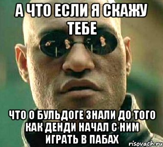 а что если я скажу тебе что о бульдоге знали до того как денди начал с ним играть в пабах, Мем  а что если я скажу тебе