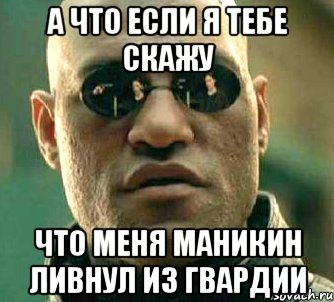 а что если я тебе скажу что меня маникин ливнул из гвардии, Мем  а что если я скажу тебе