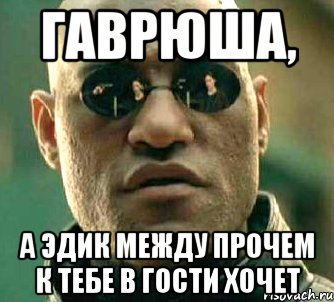 гаврюша, а эдик между прочем к тебе в гости хочет, Мем  а что если я скажу тебе