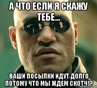 а что если я скажу тебе... ваши посылки идут долго потому что мы ждем скотч!?, Мем  а что если я скажу тебе