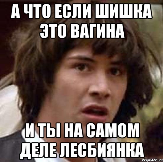 а что если шишка это вагина и ты на самом деле лесбиянка, Мем А что если (Киану Ривз)