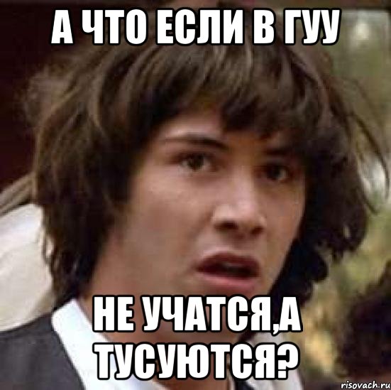 а что если в гуу не учатся,а тусуются?, Мем А что если (Киану Ривз)