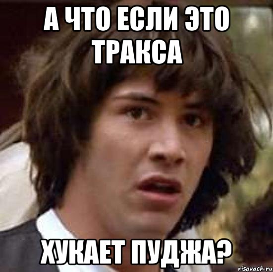 а что если это тракса хукает пуджа?, Мем А что если (Киану Ривз)