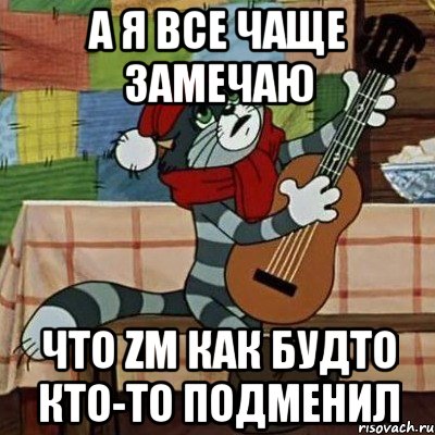 а я все чаще замечаю что zm как будто кто-то подменил, Мем Кот Матроскин с гитарой