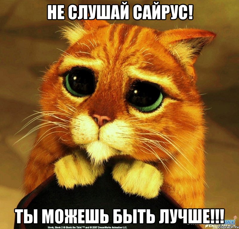 не слушай сайрус! ты можешь быть лучше!!!, Мем Котик из Шрека