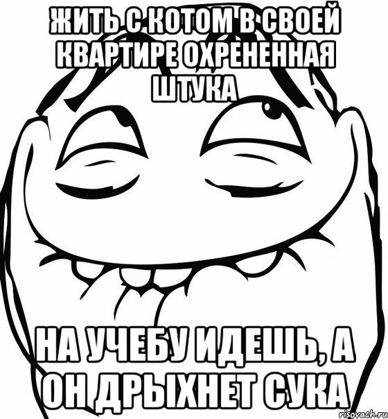 жить с котом в своей квартире охрененная штука на учебу идешь, а он дрыхнет сука, Мем  аааа