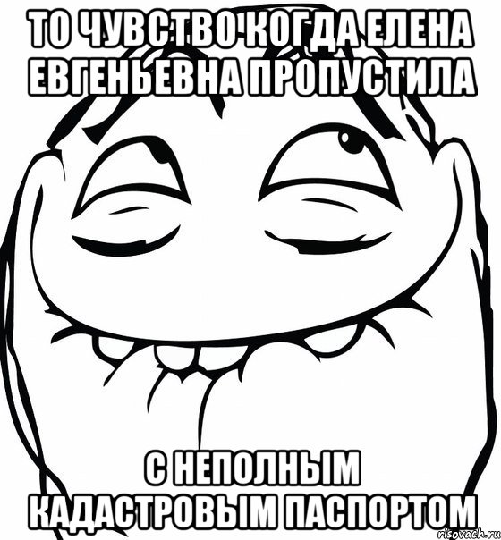 то чувство когда елена евгеньевна пропустила с неполным кадастровым паспортом