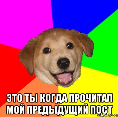  это ты когда прочитал мой предыдущий пост, Мем Advice Dog