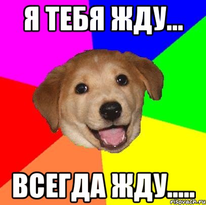 я тебя жду... всегда жду....., Мем Advice Dog