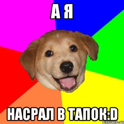 а я насрал в тапок:d, Мем Advice Dog