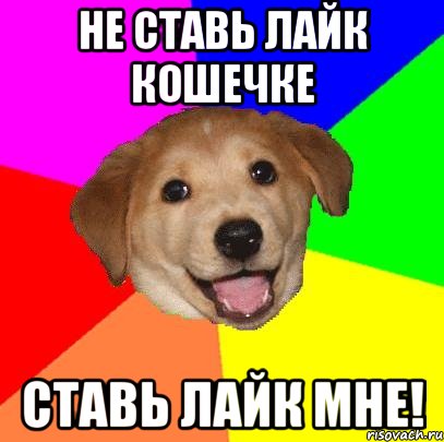 не ставь лайк кошечке ставь лайк мне!, Мем Advice Dog