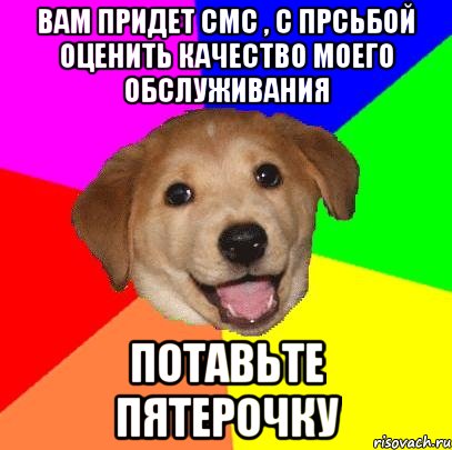 вам придет смс , с прсьбой оценить качество моего обслуживания потавьте пятерочку, Мем Advice Dog