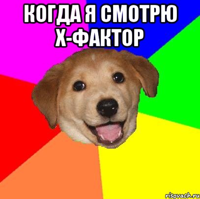 когда я смотрю х-фактор , Мем Advice Dog