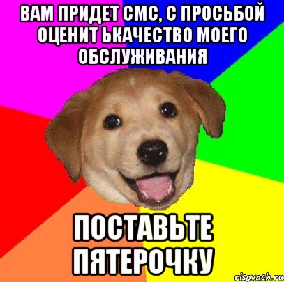 вам придет смс, с просьбой оценит ькачество моего обслуживания поставьте пятерочку, Мем Advice Dog