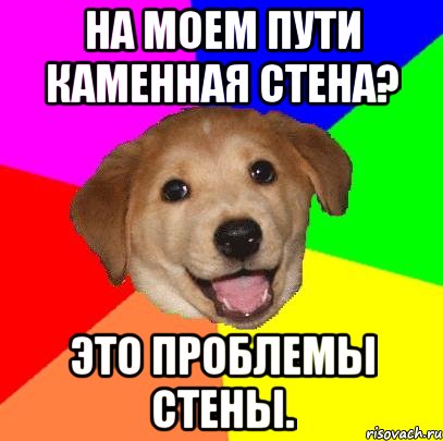 на моем пути каменная стена? это проблемы стены., Мем Advice Dog