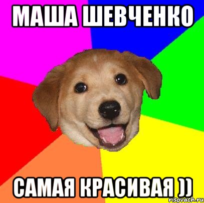 маша шевченко самая красивая )), Мем Advice Dog