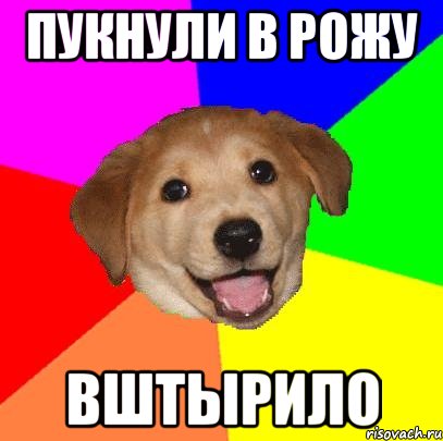 пукнули в рожу вштырило, Мем Advice Dog