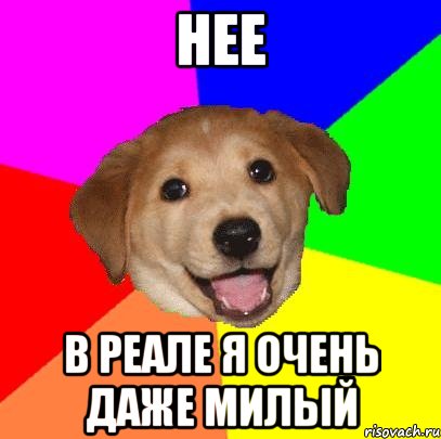 нее в реале я очень даже милый, Мем Advice Dog