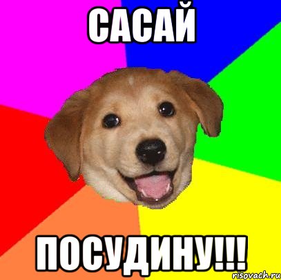 сасай посудину!!!, Мем Advice Dog