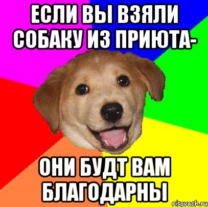 если вы взяли собаку из приюта- они будт вам благодарны, Мем Advice Dog