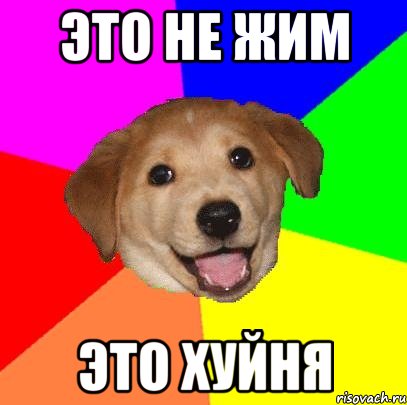 это не жим это хуйня, Мем Advice Dog