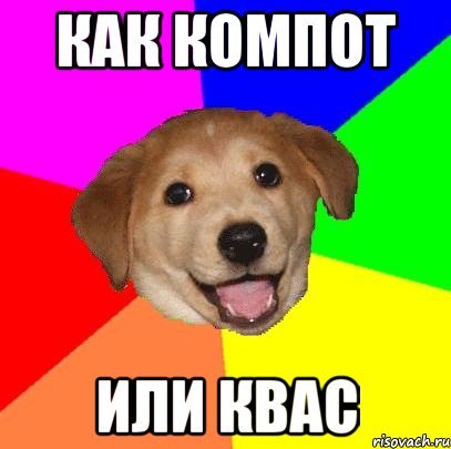 как компот или квас, Мем Advice Dog