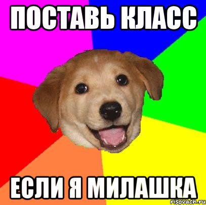 поставь класс если я милашка, Мем Advice Dog