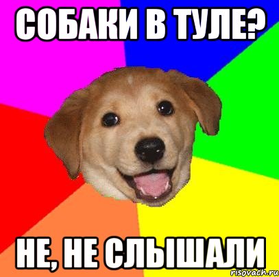 собаки в туле? не, не слышали, Мем Advice Dog