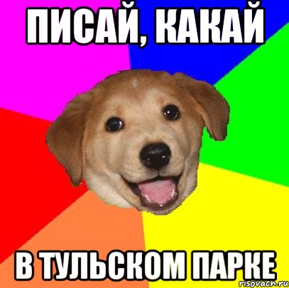 писай, какай в тульском парке, Мем Advice Dog