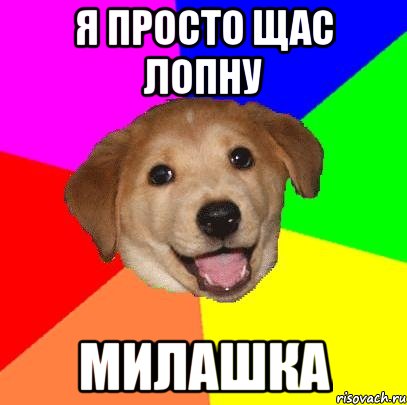 я просто щас лопну милашка, Мем Advice Dog