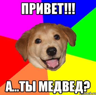 привет!!! а...ты медвед?, Мем Advice Dog