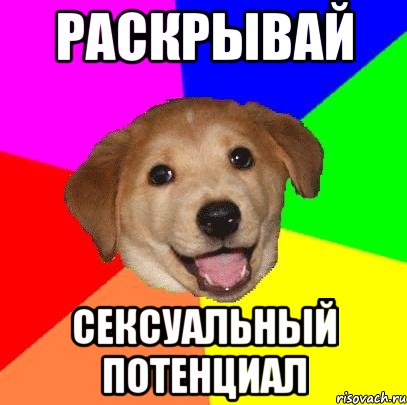 раскрывай сексуальный потенциал, Мем Advice Dog