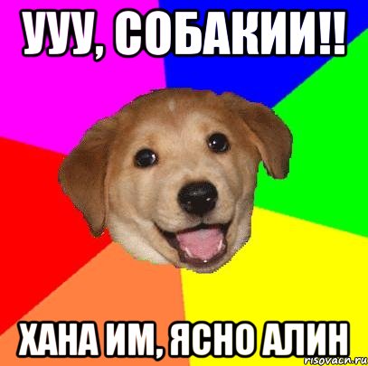 ууу, собакии!! хана им, ясно алин, Мем Advice Dog