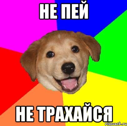 не пей не трахайся, Мем Advice Dog