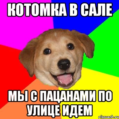 котомка в сале мы с пацанами по улице идем, Мем Advice Dog