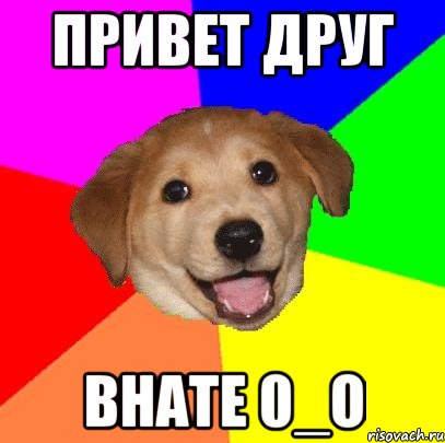 привет друг внате 0_о, Мем Advice Dog