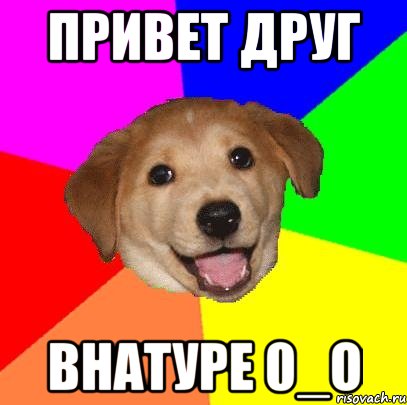 привет друг внатуре 0_о, Мем Advice Dog