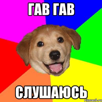 гав гав слушаюсь, Мем Advice Dog