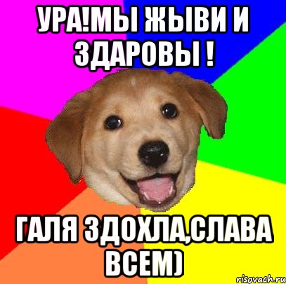 ура!мы жыви и здаровы ! галя здохла,слава всем), Мем Advice Dog