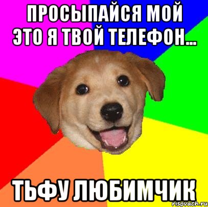 просыпайся мой это я твой телефон... тьфу любимчик, Мем Advice Dog