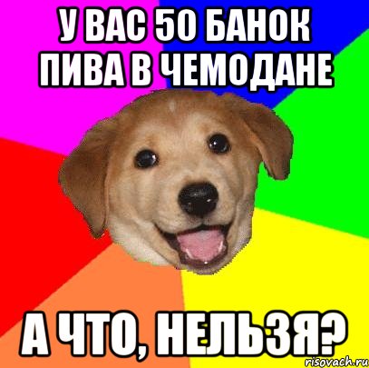 у вас 50 банок пива в чемодане а что, нельзя?, Мем Advice Dog