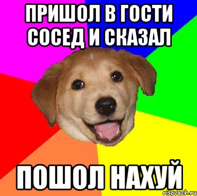 пришол в гости сосед и сказал пошол нахуй, Мем Advice Dog