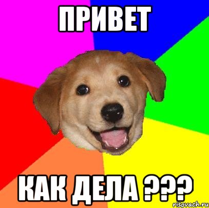 привет как дела ???, Мем Advice Dog