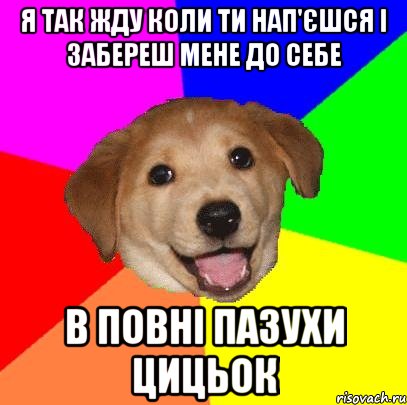 я так жду коли ти нап'єшся і забереш мене до себе в повні пазухи цицьок, Мем Advice Dog