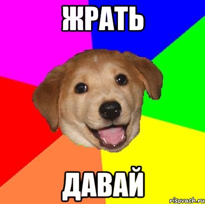 жрать давай, Мем Advice Dog