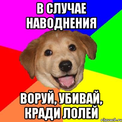 в случае наводнения воруй, убивай, кради лолей, Мем Advice Dog